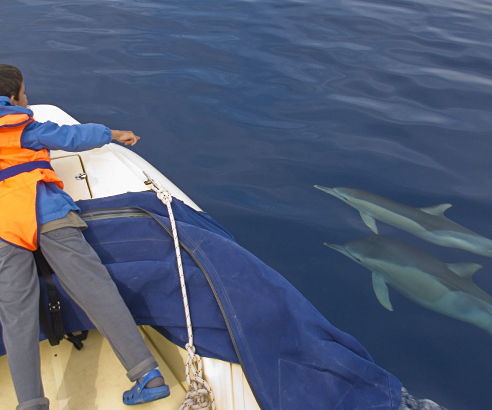 Δεκάδες παραλίες Παραλίες με λεπτό βότσαλο και χρυσοκέντητες αμμουδιές με κρυστάλλινα νερά, άλλες προσβάσιμες οδικώς, άλλες από γραφικά μονοπάτια